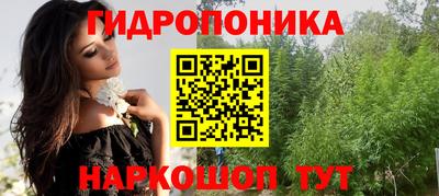 стафф Заволжье