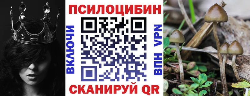 omg зеркало  Полысаево  Псилоцибиновые грибы ЛСД 