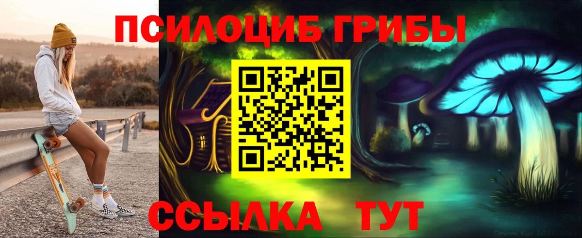 Полысаево  Псилоцибиновые грибы Cubensis  Вход с VPN 