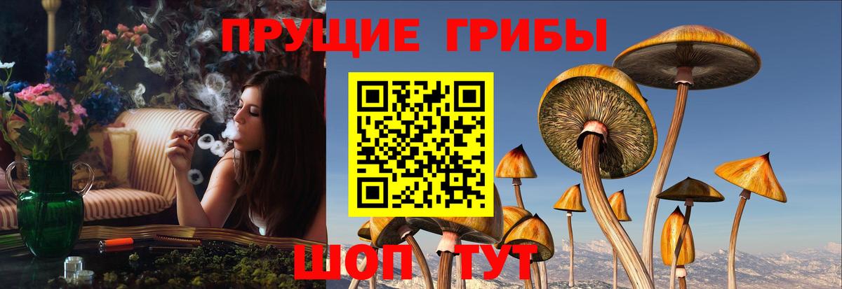 Псилоцибиновые грибы ЛСД Полысаево